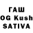 Каннабис OG Kush Serqei S