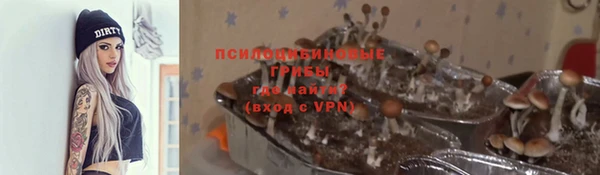 мдпв Навашино