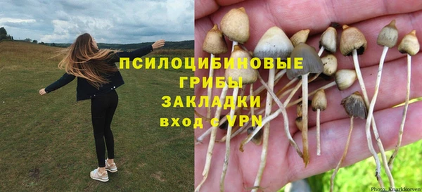 мдпв Навашино