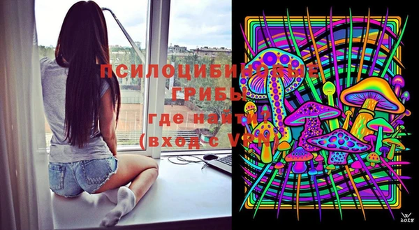 дмт Абинск