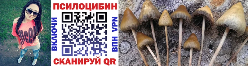 Галлюциногенные грибы прущие грибы  где продают наркотики  Тайга 